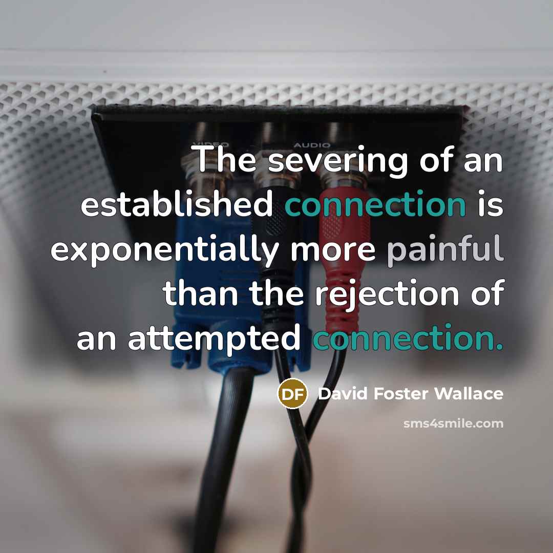 “The severing of an established connection is exponentially more painful…” quote by David Foster Wallace