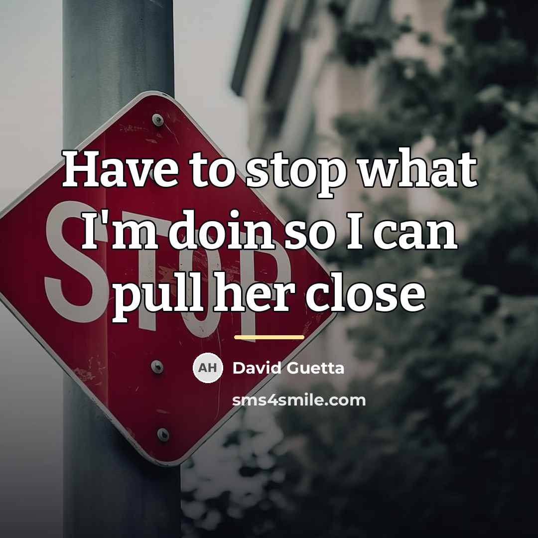 “Have to stop what I'm doin so I can pull…” quote by David Guetta