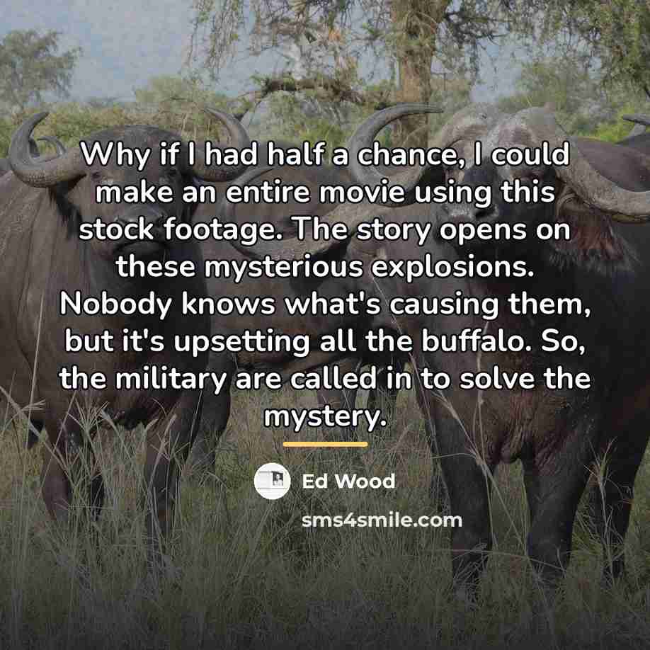 “Why if I had half a chance, I could make…” quote by Ed Wood