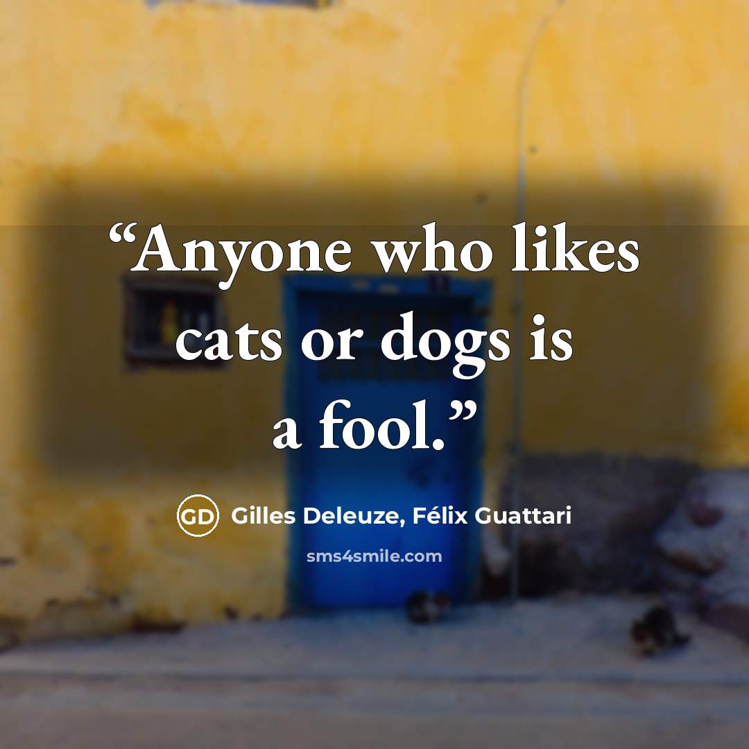 “Anyone who likes cats or dogs is a fool.” quote by Gilles Deleuze, Félix Guattari