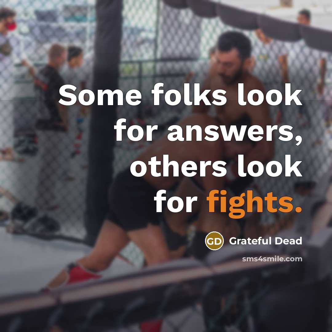 “Some folks look for answers, others look for fights.” quote by Grateful Dead