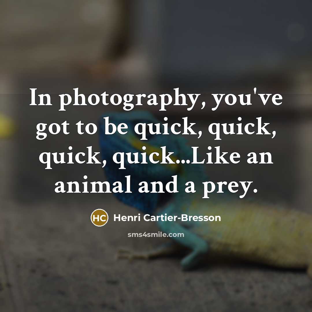 “In photography, you've got to be quick, quick, quick, quick...Like…” quote by Henri Cartier-Bresson