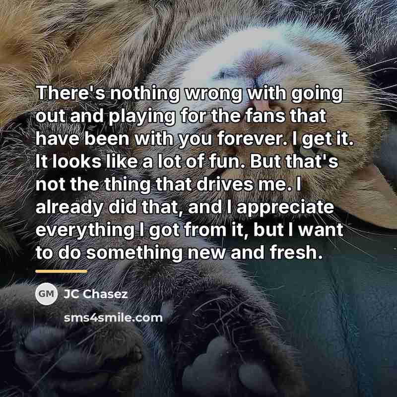 “There's nothing wrong with going out and playing for the…” quote by JC Chasez