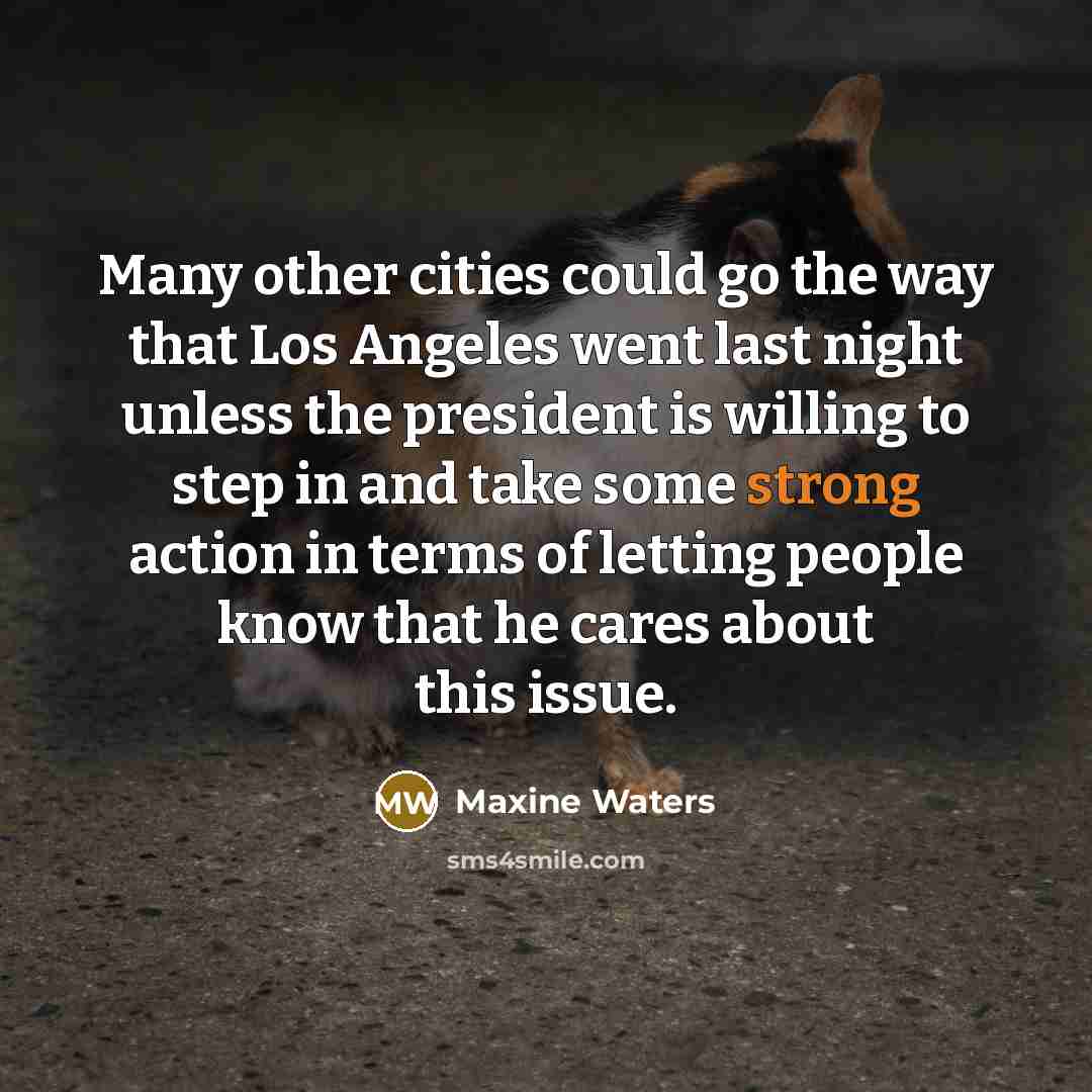 “Many other cities could go the way that Los Angeles…” quote by Maxine Waters