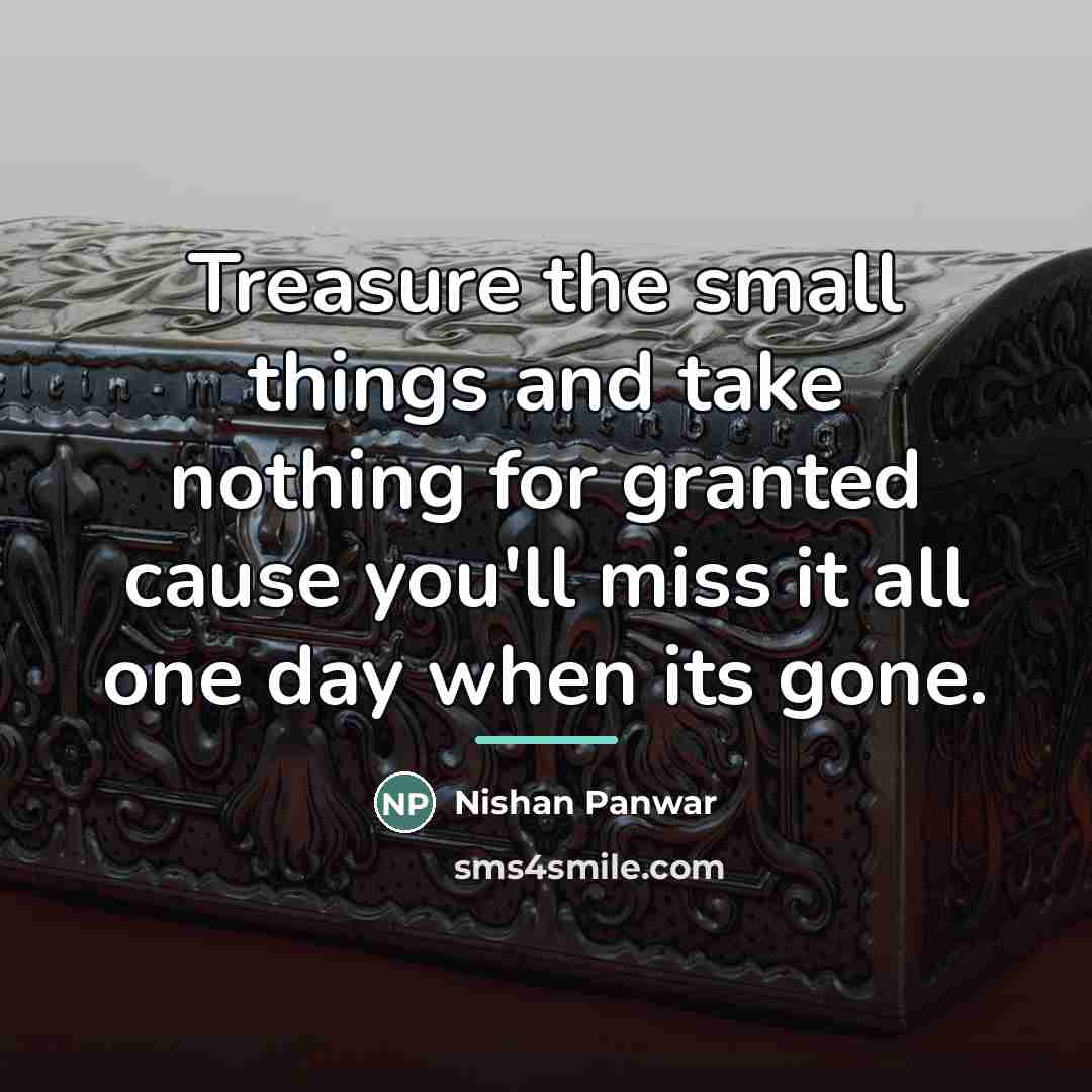“Treasure the small things and take nothing for granted cause…” quote by Nishan Panwar