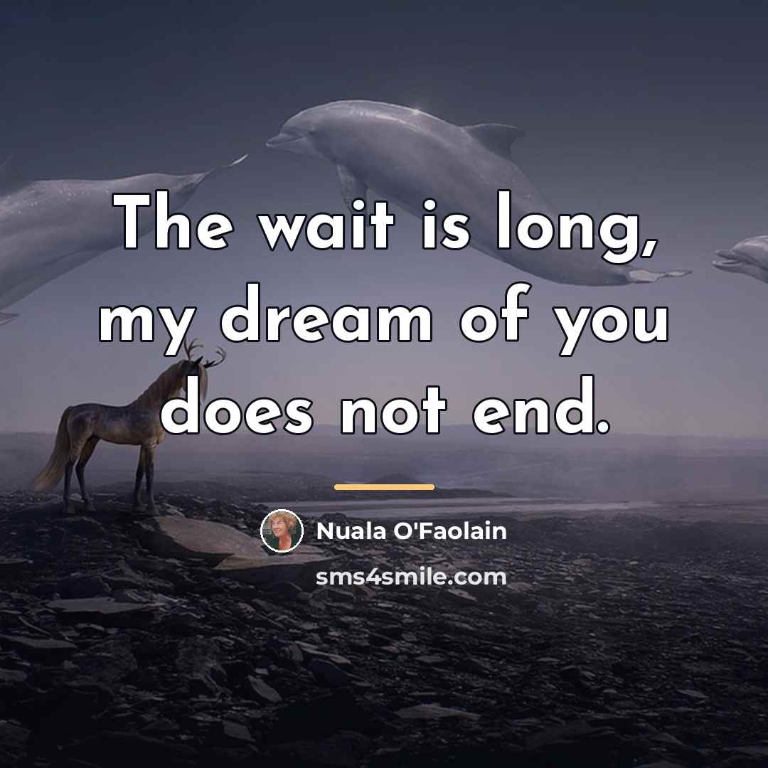 “The wait is long, my dream of you does not…” quote by Nuala O'Faolain