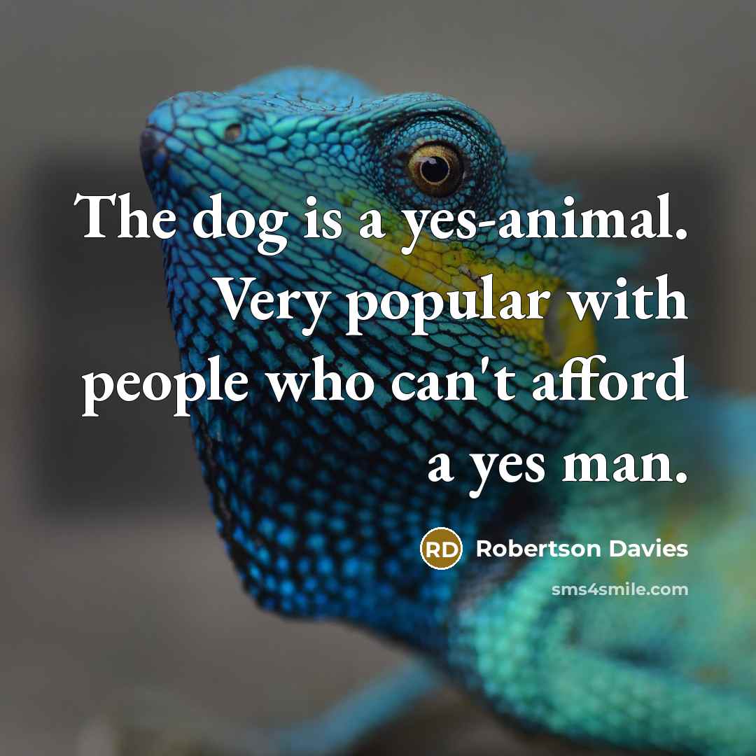 “The dog is a yes-animal. Very popular with people who…” quote by Robertson Davies