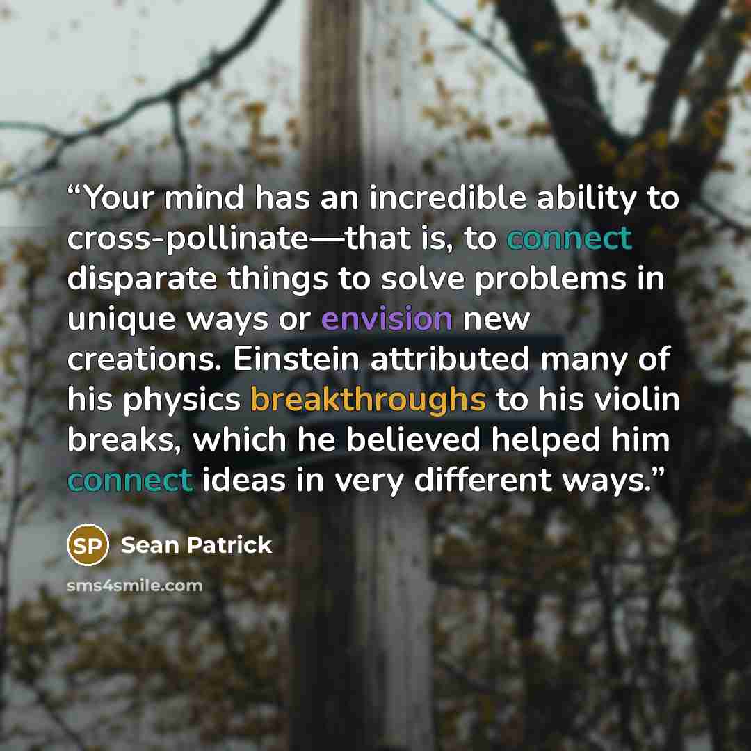 “Your mind has an incredible ability to cross-pollinate—that is, to connect disparate things to solve problems in unique ways or envision new creations. Einstein attributed many of his physics breakthroughs to his violin breaks, which he believed helped him connect ideas in very different ways.” quote by Sean Patrick