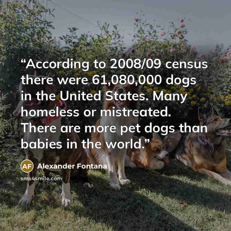 “According to 2008/09 census there were 61,080,000 dogs in the United States. Many homeless or mistreated. There are more pet dogs than babies in the world.” quote by Alexander Fontana