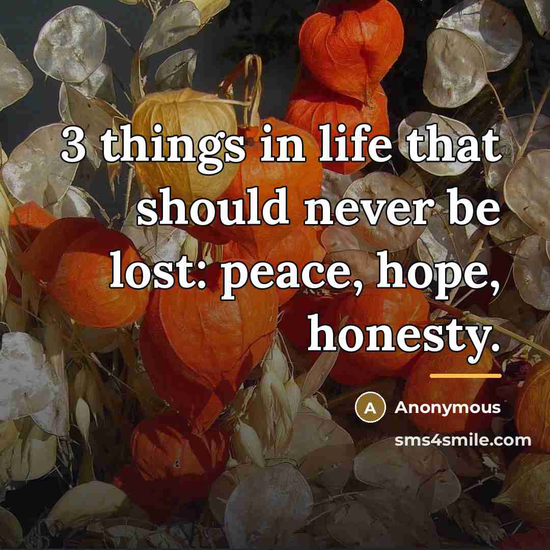 “3 things in life that should never be lost: peace,…” quote by Anonymous