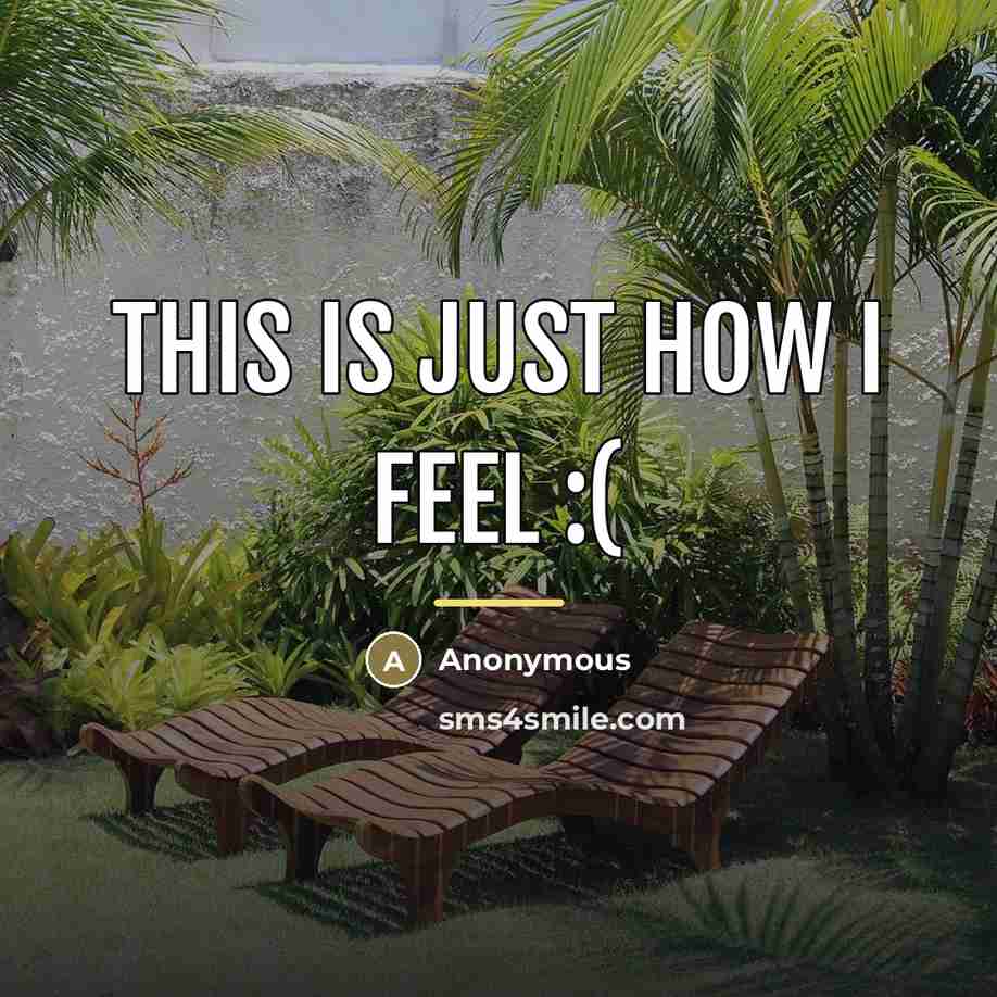 “This is just how I feel :(…” quote by Anonymous