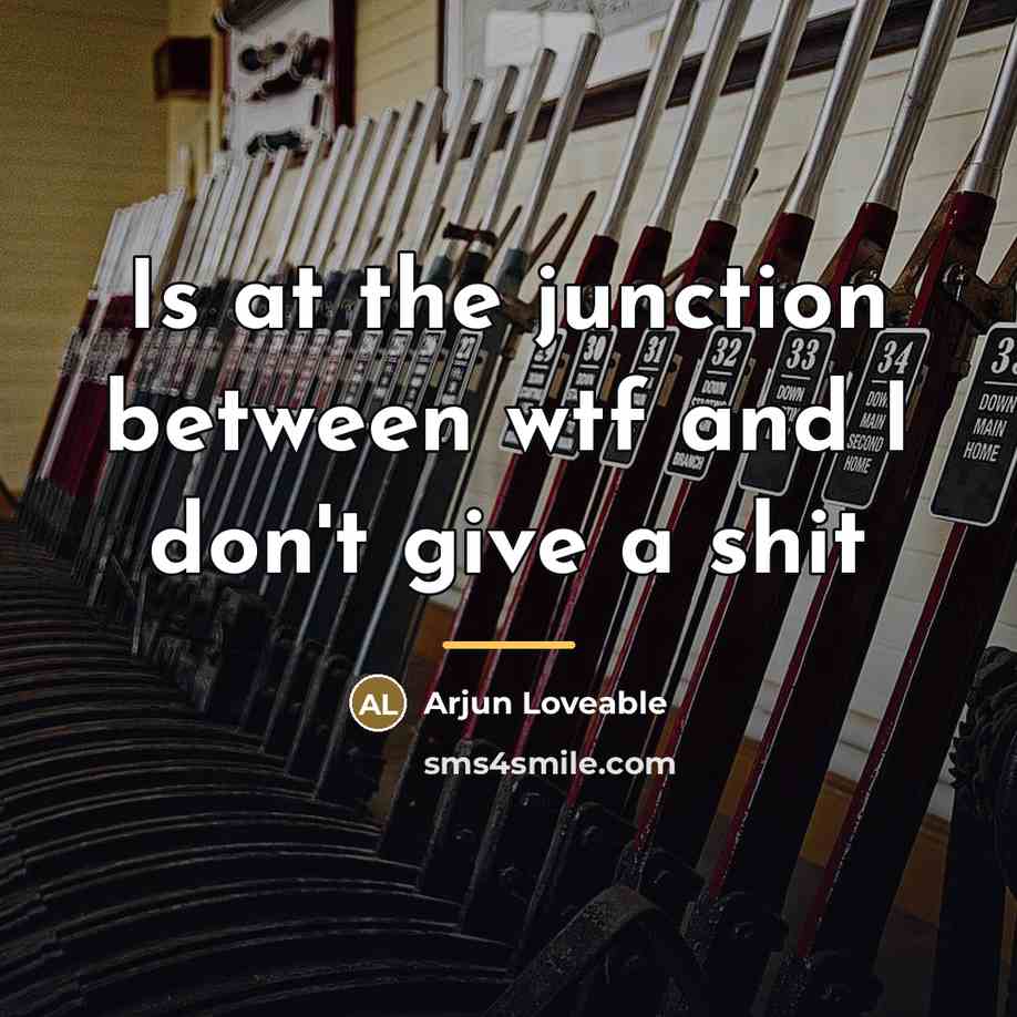“Is at the junction between wtf and I don't give…” quote by Arjun Loveable