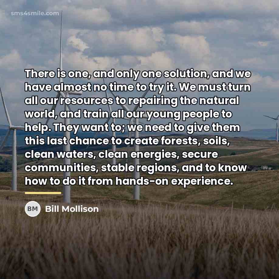 “There is one, and only one solution, and we have…” quote by Bill Mollison