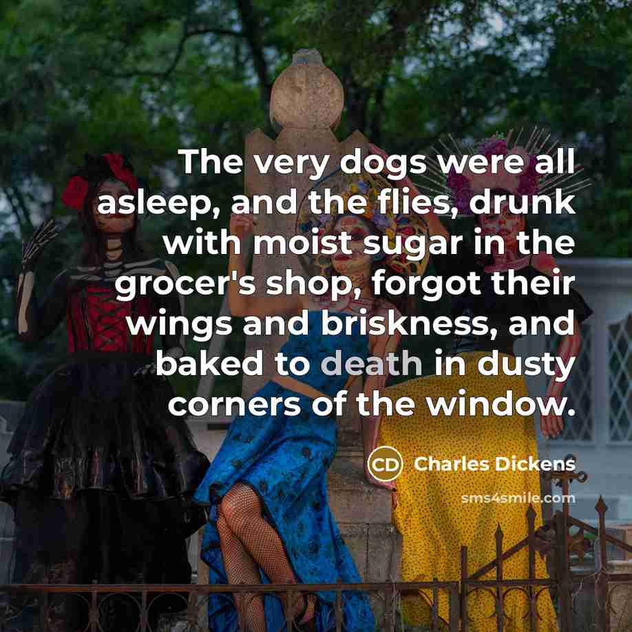 “The very dogs were all asleep, and the flies, drunk…” quote by Charles Dickens