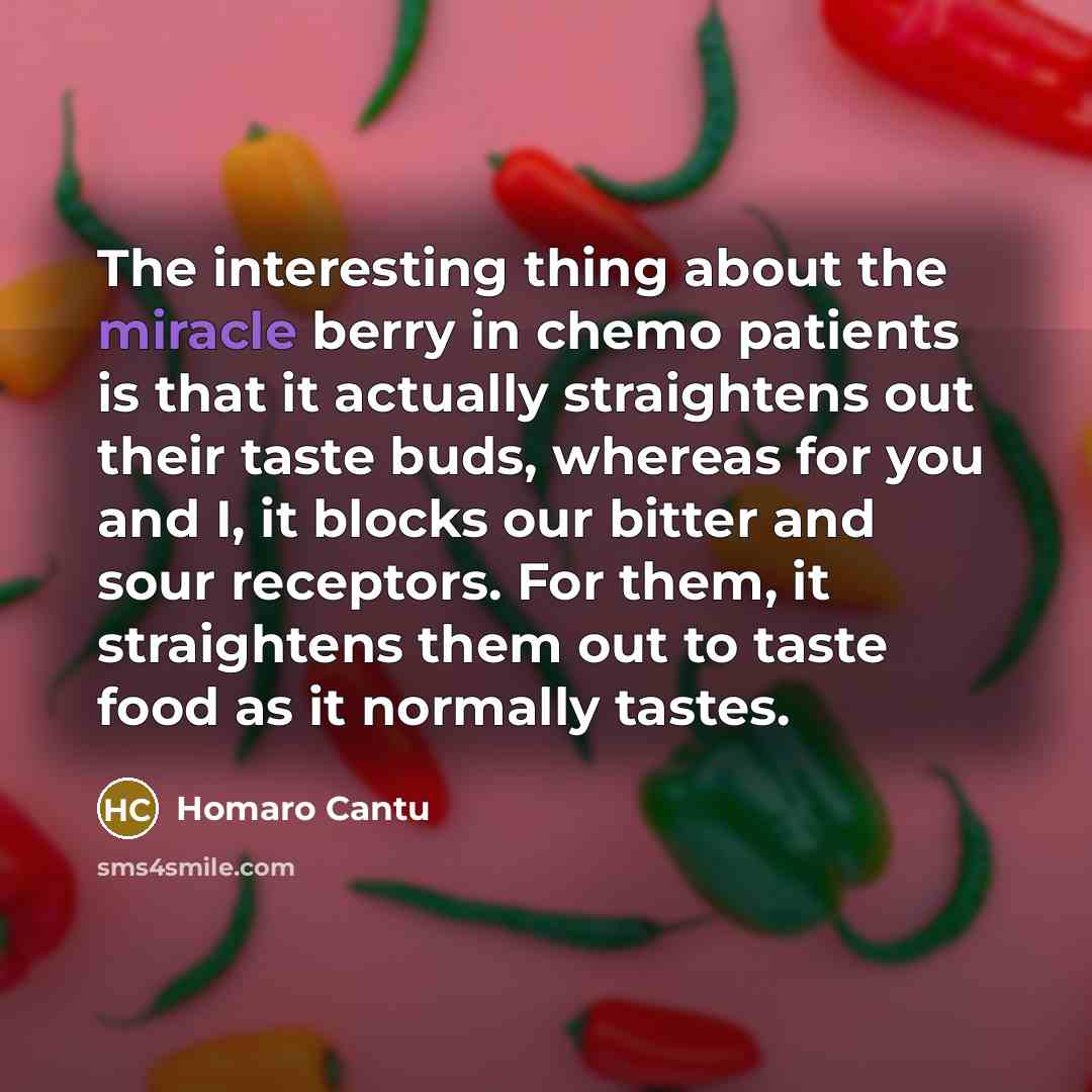 “The interesting thing about the miracle berry in chemo patients…” quote by Homaro Cantu