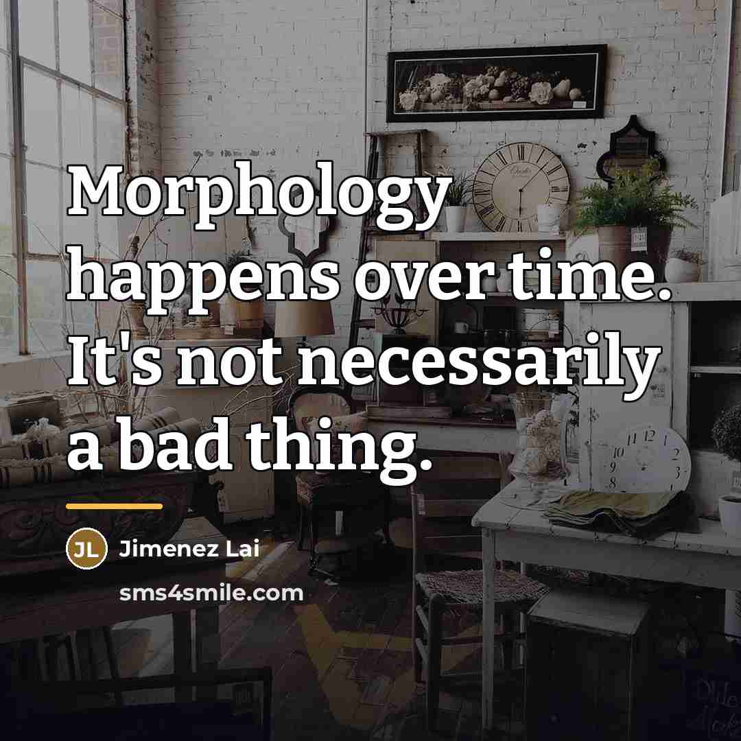 “Morphology happens over time. It's not necessarily a bad thing.…” quote by Jimenez Lai
