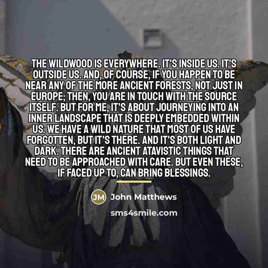 “The wildwood is everywhere. It's inside us. It's outside us.…” quote by John Matthews