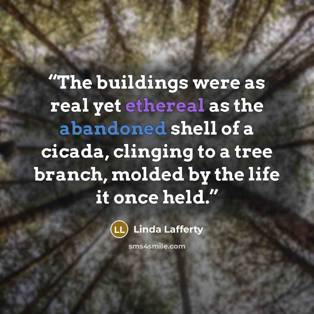 “The buildings were as real yet ethereal as the abandoned shell of a cicada, clinging to a tree branch, molded by the life it once held.” quote by Linda Lafferty