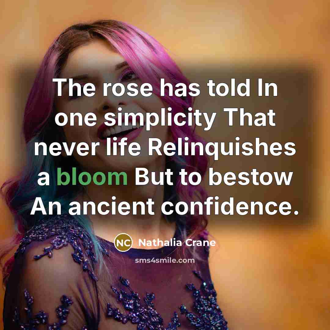 “The rose has told In one simplicity That never life…” quote by Nathalia Crane