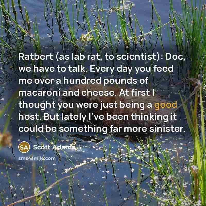 “Ratbert (as lab rat, to scientist): Doc, we have to…” quote by Scott Adams