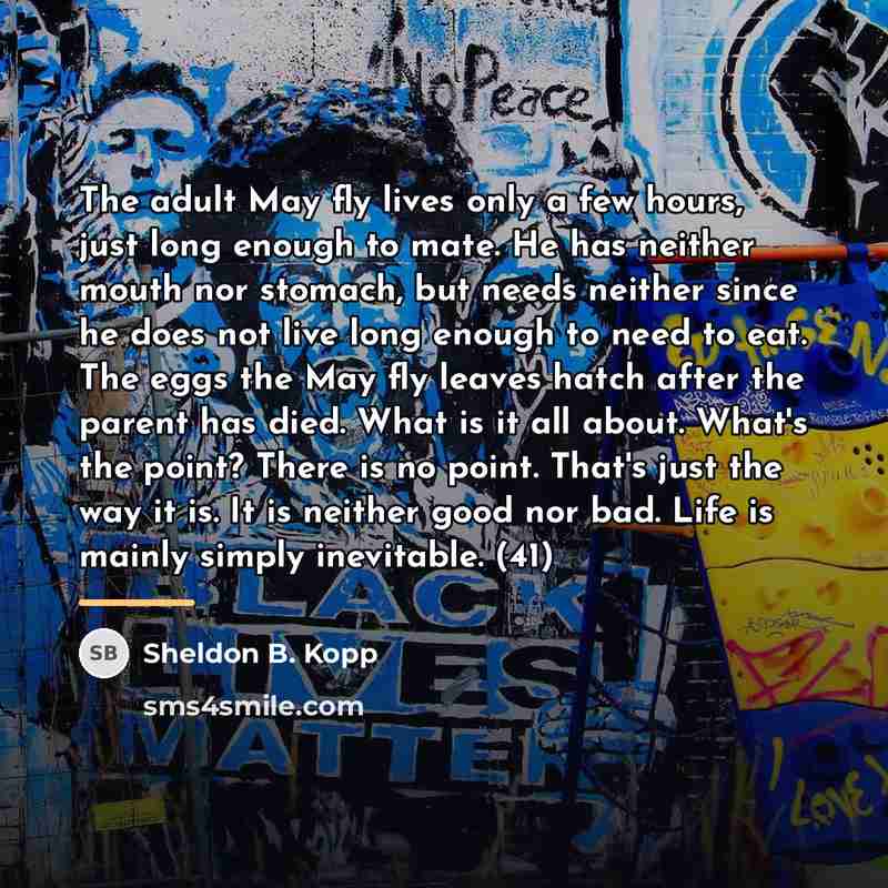 “The adult May fly lives only a few hours, just…” quote by Sheldon B. Kopp