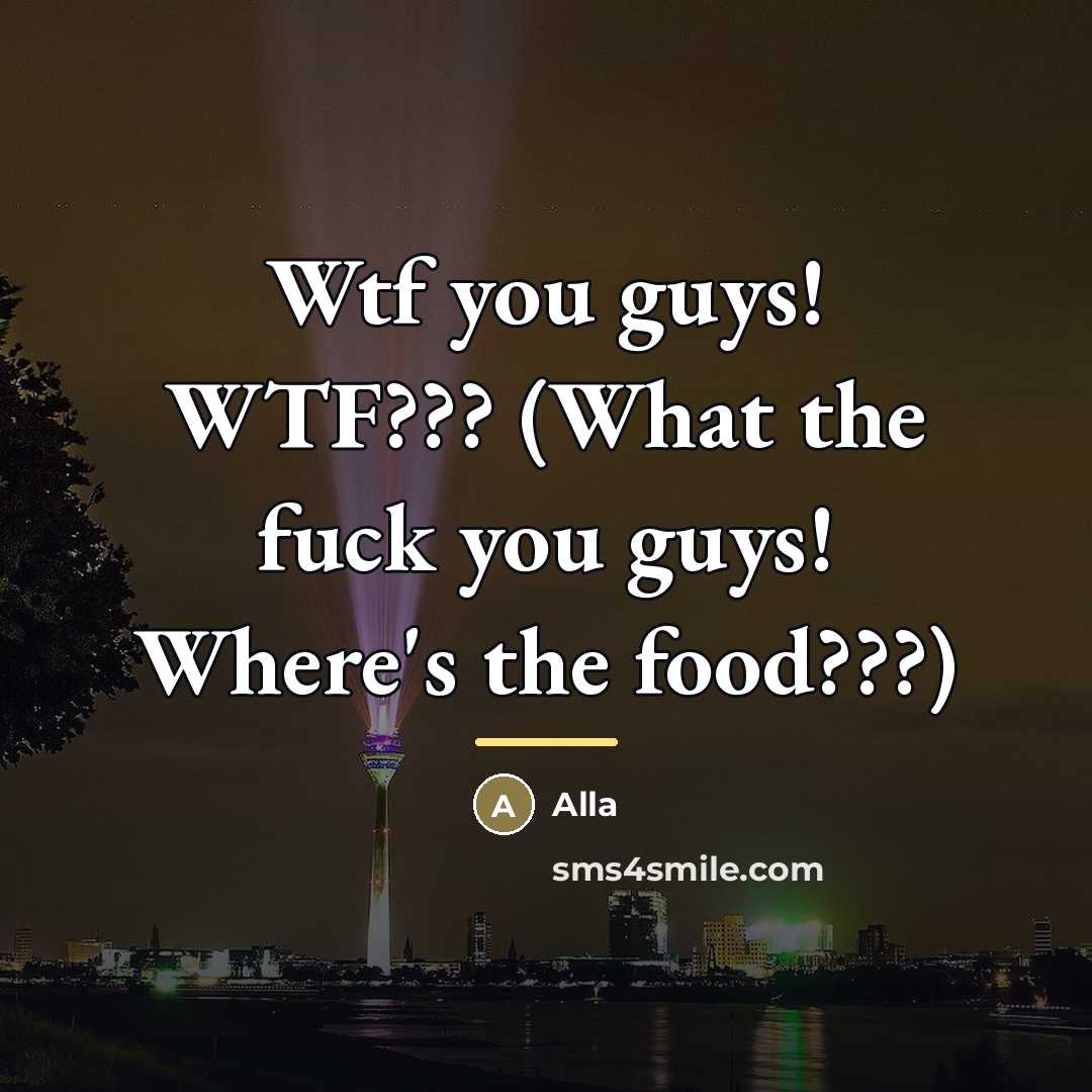 “Wtf you guys! WTF??? (What the fuck you guys! Where's…” quote by Alla