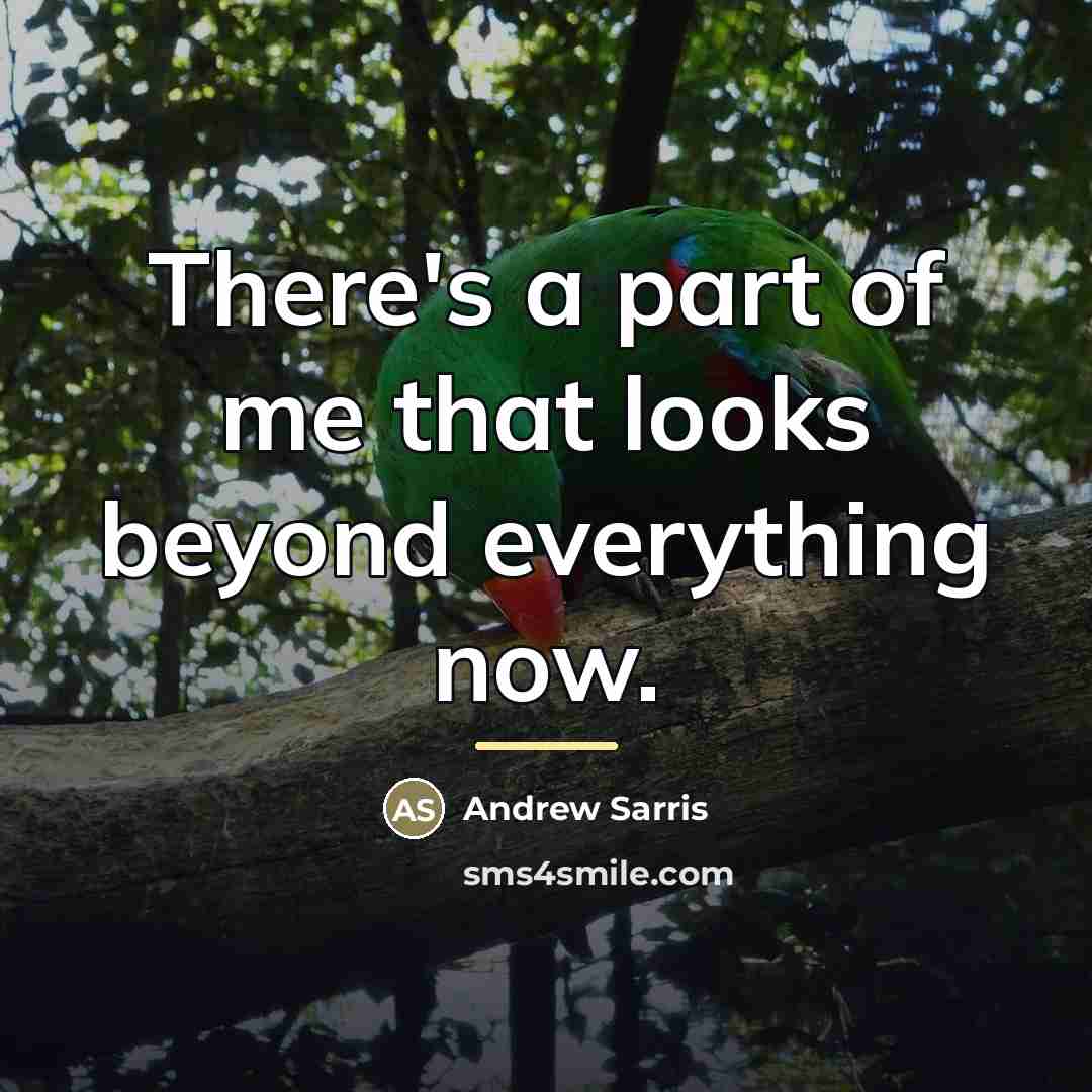 “There's a part of me that looks beyond everything now.…” quote by Andrew Sarris