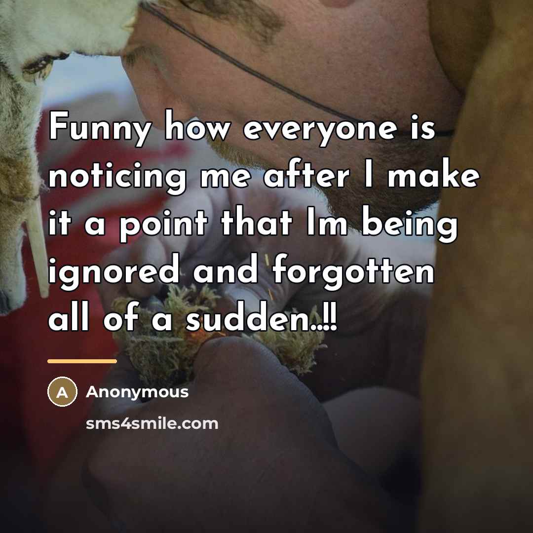 “Funny how everyone is noticing me after I make it…” quote by Anonymous