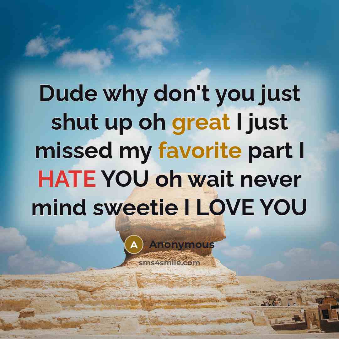 “Dude why don't you just shut up oh great I just missed my favorite part I HATE YOU oh wait never mind sweetie I LOVE YOU” quote by Anonymous