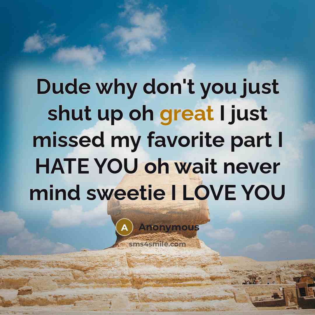 “Dude why don't you just shut up oh great I just missed my favorite part I HATE YOU oh wait never mind sweetie I LOVE YOU” quote by Anonymous