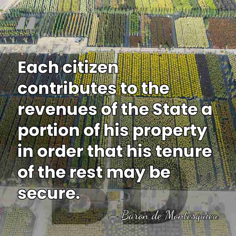 Each citizen contributes to the revenues of the State a portion of&hellip; - Baron de Montesquieu