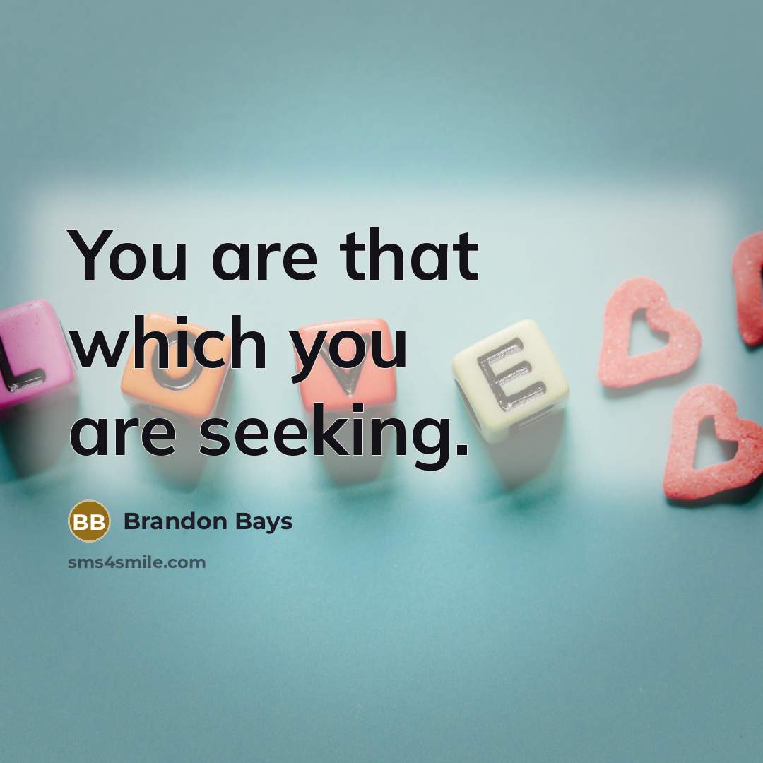 “You are that which you are seeking.…” quote by Brandon Bays