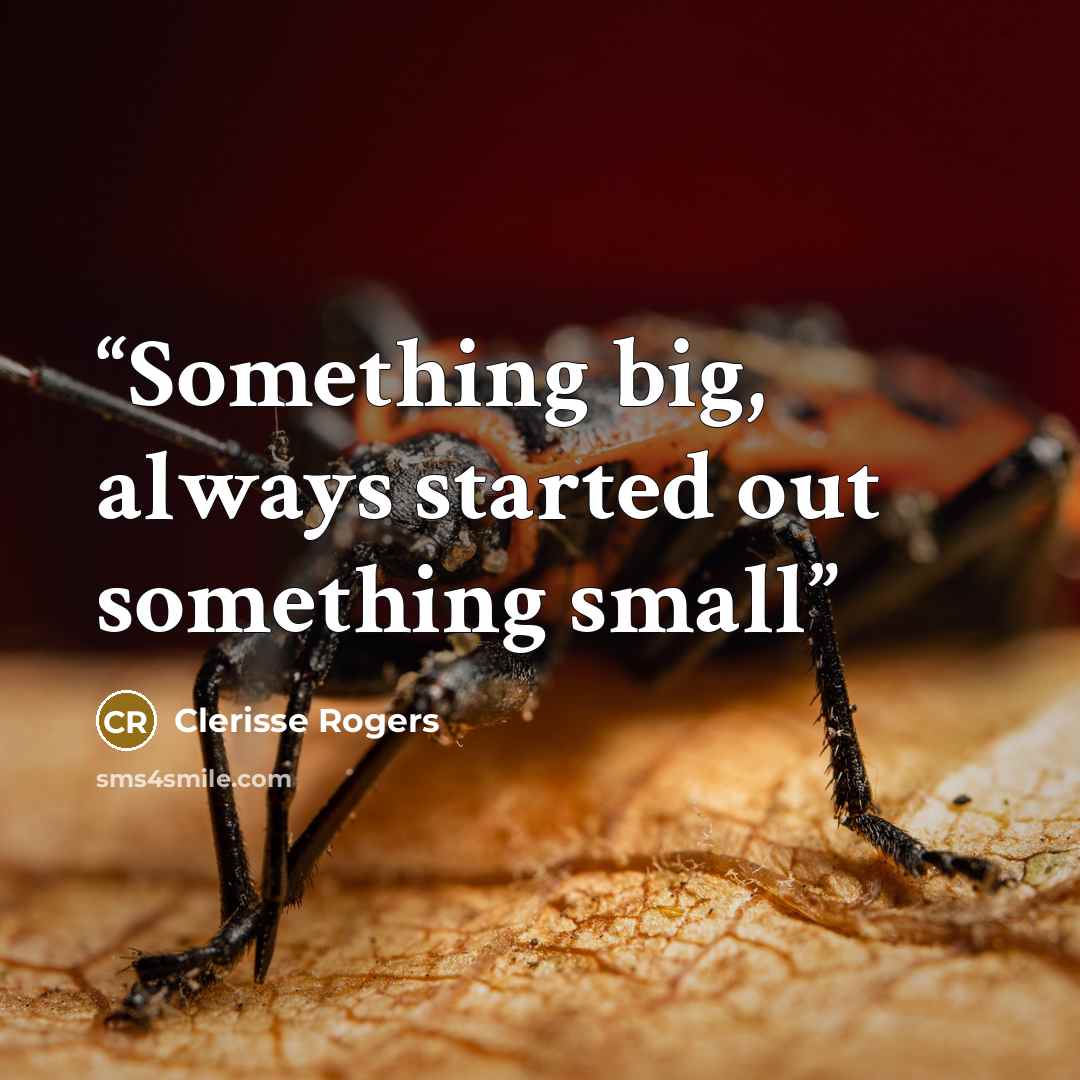 “Something big, always started out something small” quote by Clerisse Rogers