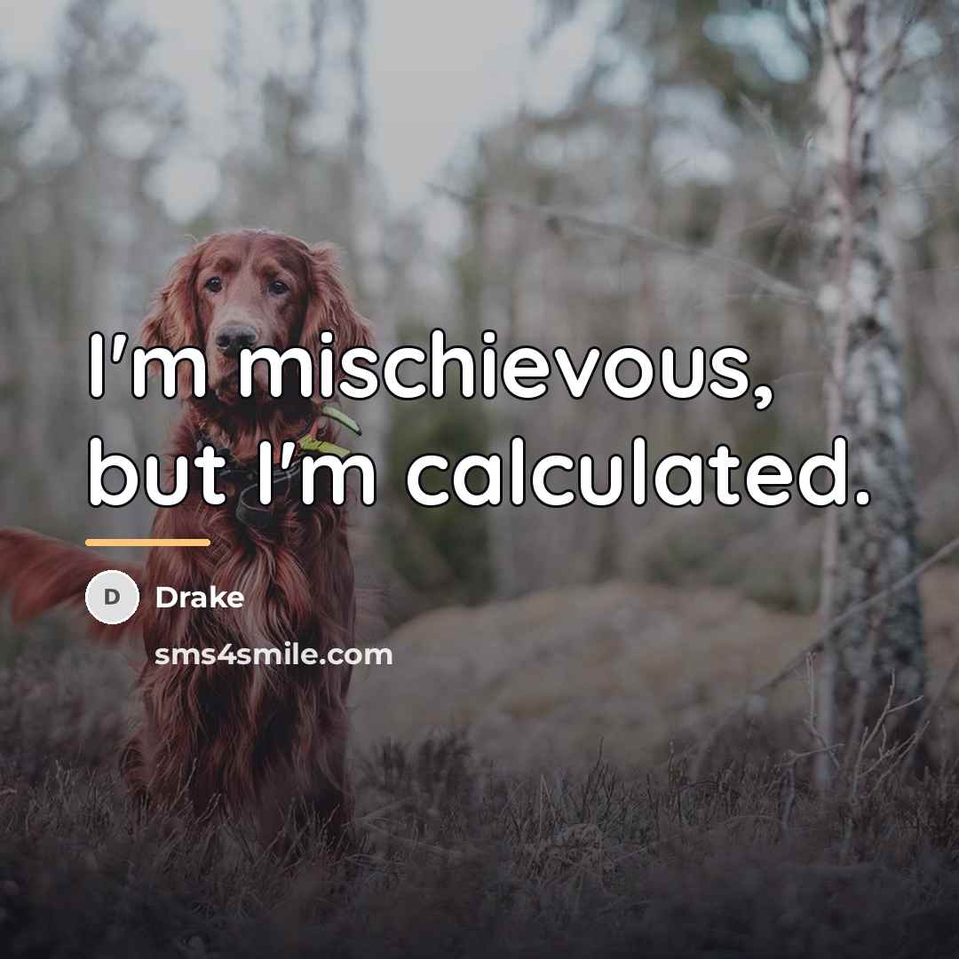 “I'm mischievous, but I'm calculated.…” quote by Drake