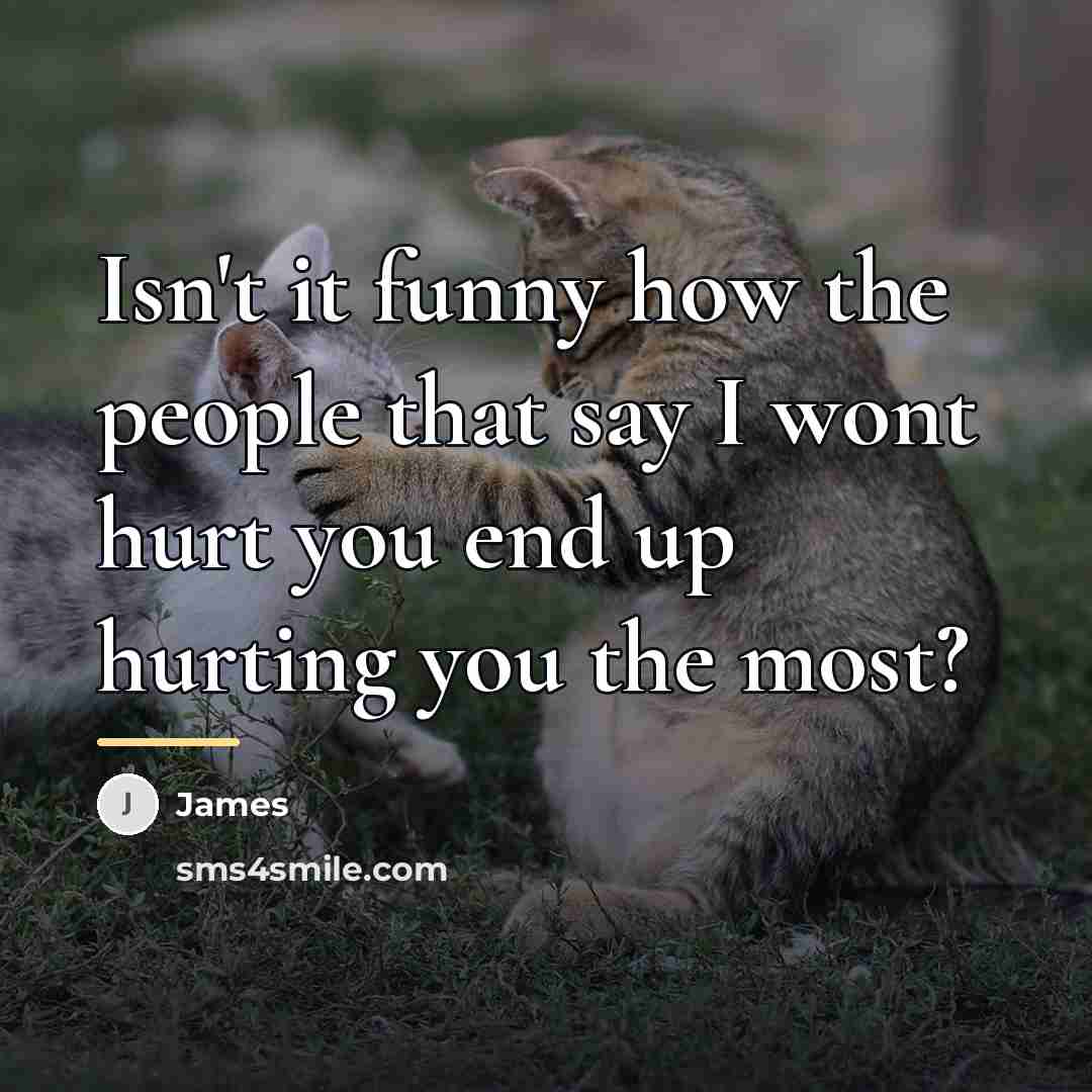 “Isn't it funny how the people that say I wont…” quote by James