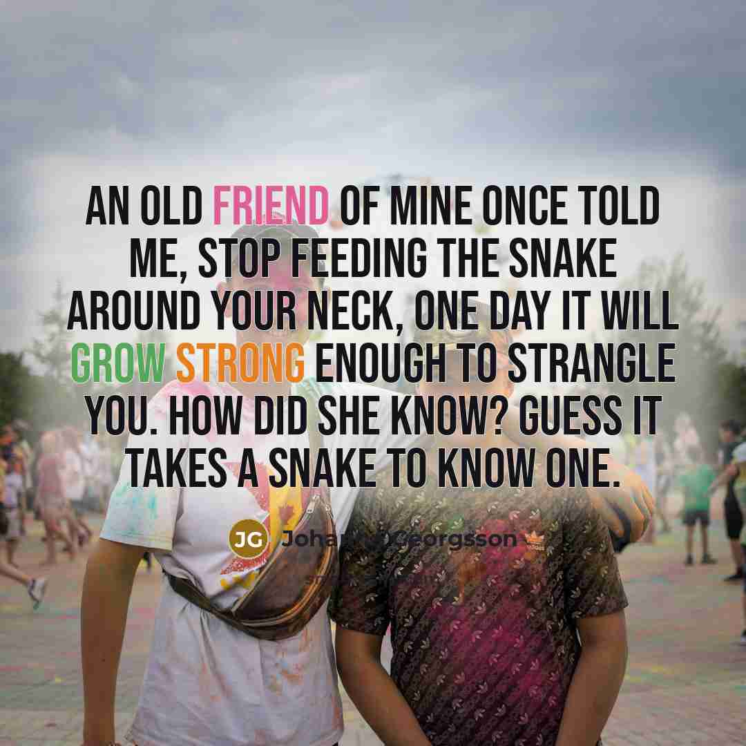 “An old friend of mine once told me, stop feeding…” quote by Johanna Georgsson