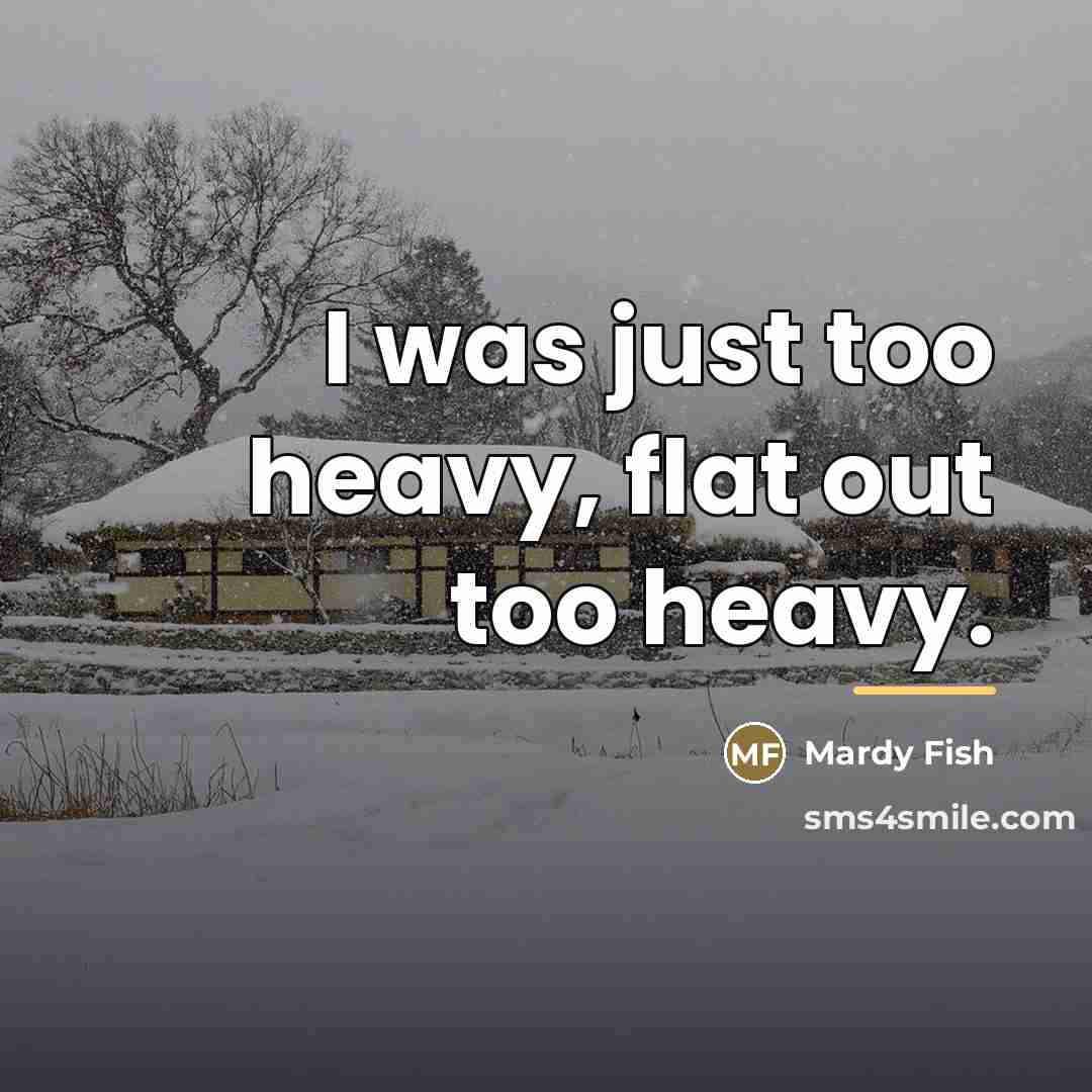 “I was just too heavy, flat out too heavy.…” quote by Mardy Fish