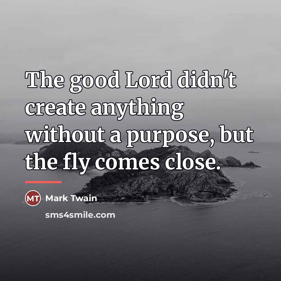 “The good Lord didn't create anything without a purpose, but…” quote by Mark Twain
