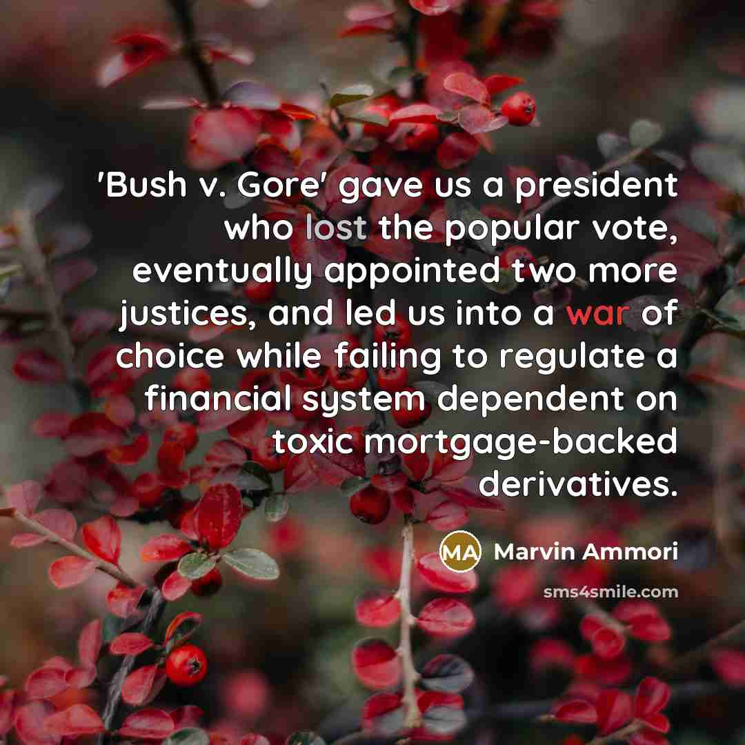 “'Bush v. Gore' gave us a president who lost the…” quote by Marvin Ammori