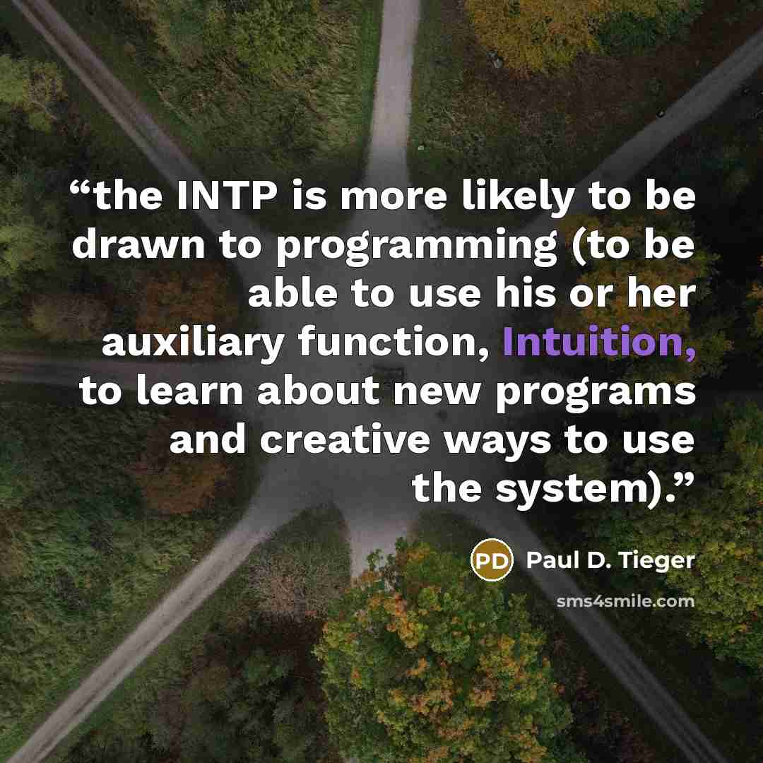 “the INTP is more likely to be drawn to programming (to be able to use his or her auxiliary function, Intuition, to learn about new programs and creative ways to use the system).” quote by Paul D. Tieger