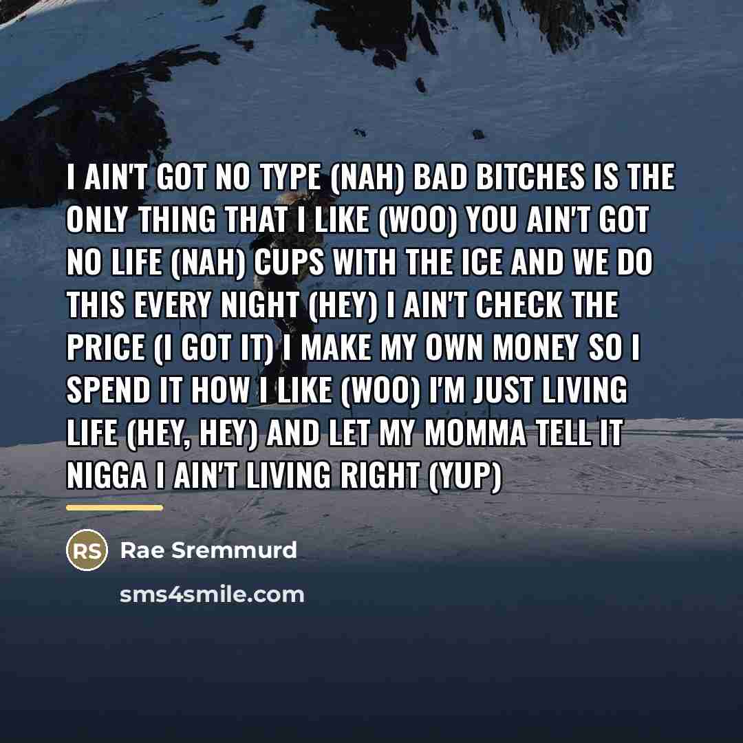 “I ain't got no type (Nah) Bad bitches is the…” quote by Rae Sremmurd