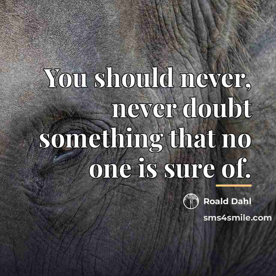 “You should never, never doubt something that no one is…” quote by Roald Dahl