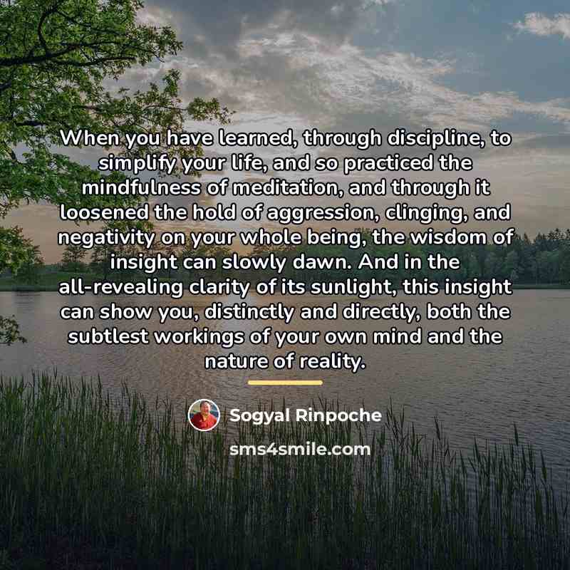 “When you have learned, through discipline, to simplify your life,…” quote by Sogyal Rinpoche