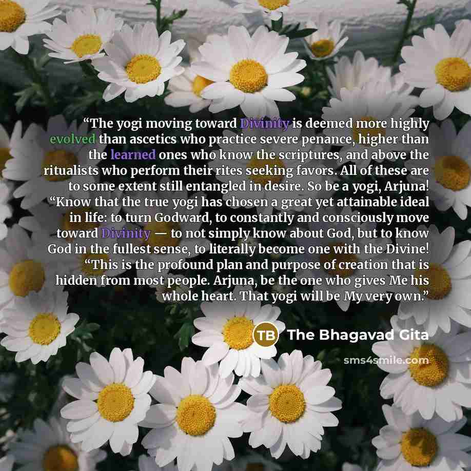 “The yogi moving toward Divinity is deemed more highly evolved than ascetics who practice severe penance, higher than the learned ones who know the scriptures, and above the ritualists who perform their rites seeking favors. All of these are to some extent still entangled in desire. So be a yogi…” quote by The Bhagavad Gita