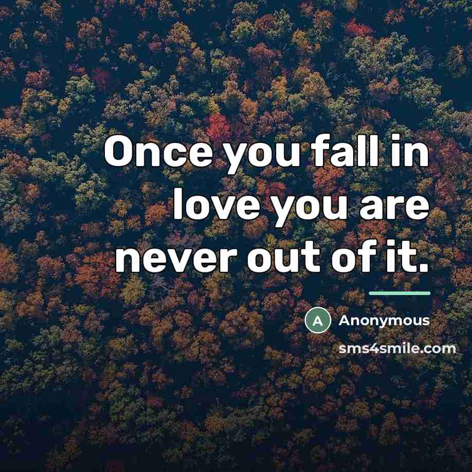 “Once you fall in love you are never out of…” quote by Anonymous