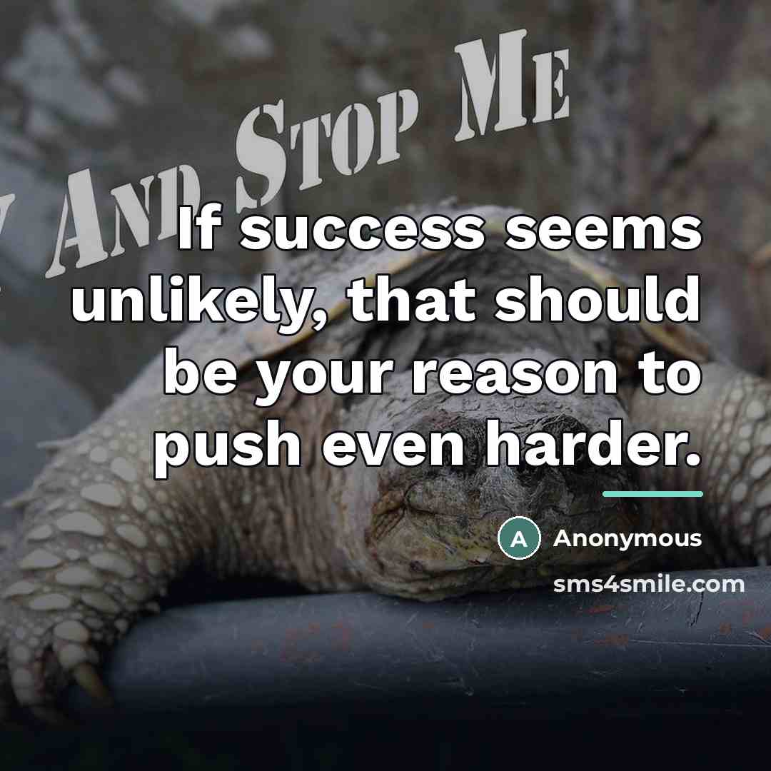 “If success seems unlikely, that should be your reason to…” quote by Anonymous