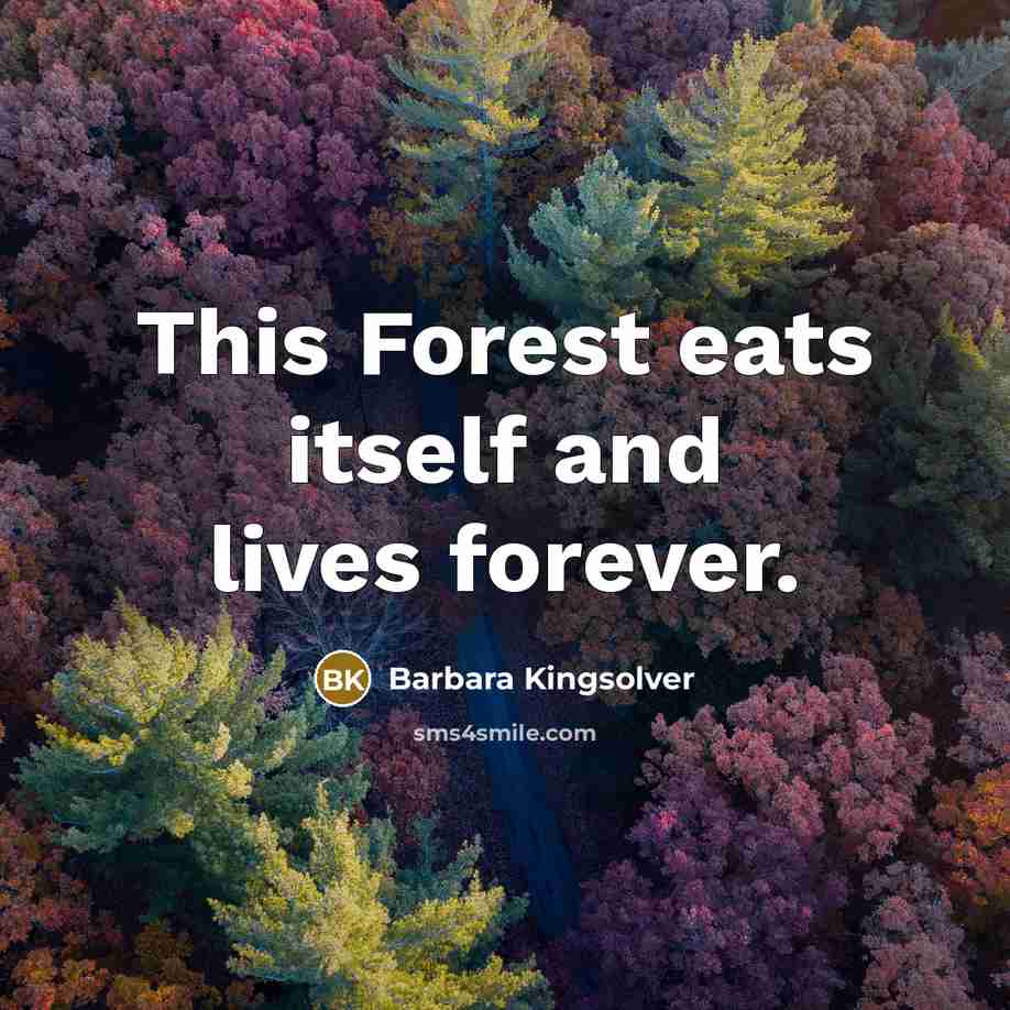 “This Forest eats itself and lives forever.” quote by Barbara Kingsolver