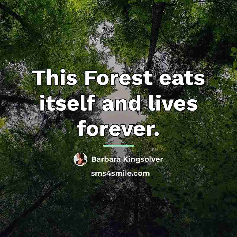 “This Forest eats itself and lives forever.…” quote by Barbara Kingsolver