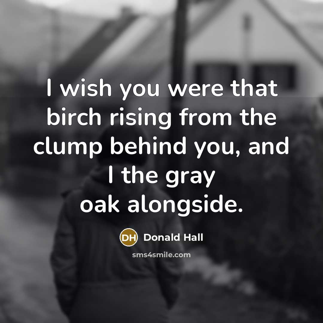 “I wish you were that birch rising from the clump…” quote by Donald Hall
