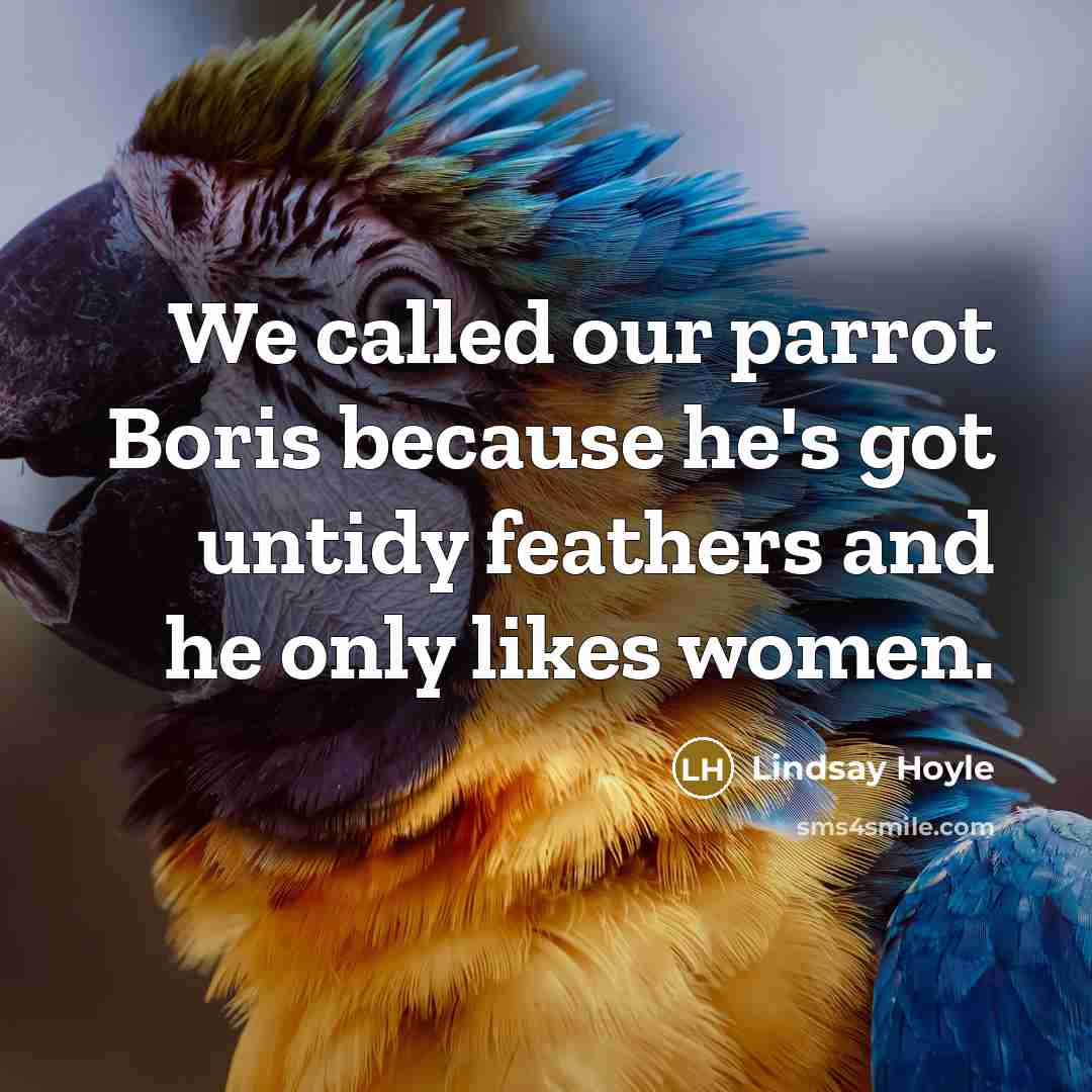 “We called our parrot Boris because he's got untidy feathers…” quote by Lindsay Hoyle